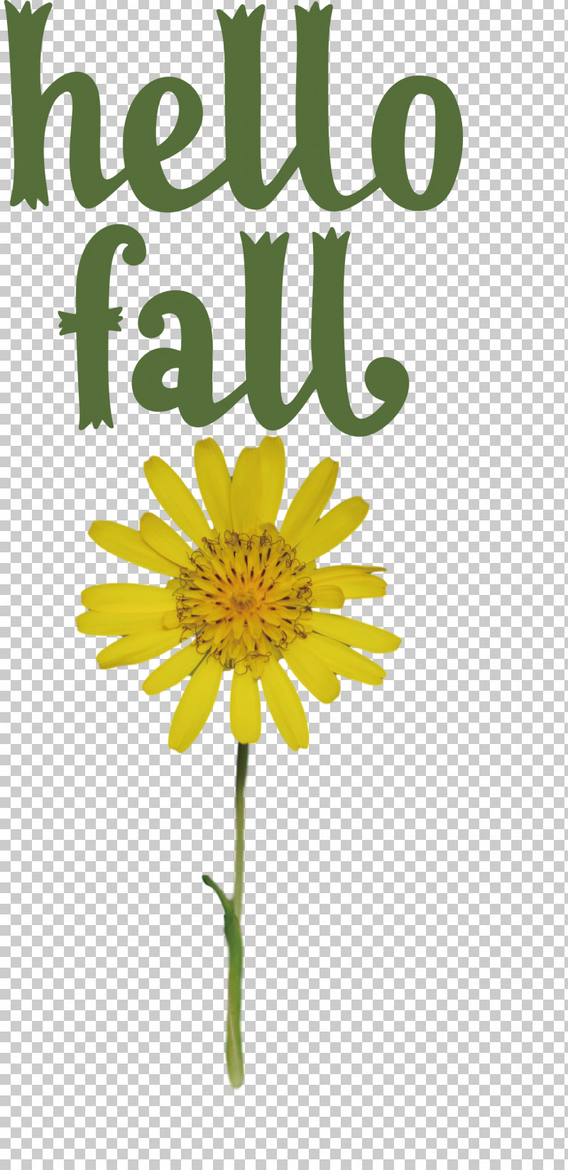 Hello Fall Fall Autumn PNG, Clipart, Autumn, Biology, Chrysanthemum, Cut Flowers, Dandelions Free PNG Download