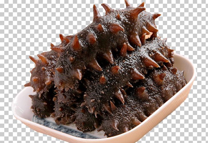 Shandong Sea Cucumber As Food Seafood PNG, Clipart, Animal Source Foods, Aquaculture, Catty, Chocolate, Cooking Free PNG Download