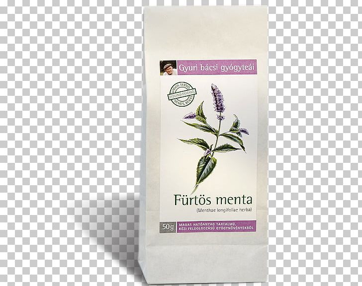 Tea Mentha Longifolia Herb Lemon Balm Breckland Thyme PNG, Clipart, Breckland Thyme, Food Drinks, Gloomy Grim, Hawthorn, Herb Free PNG Download