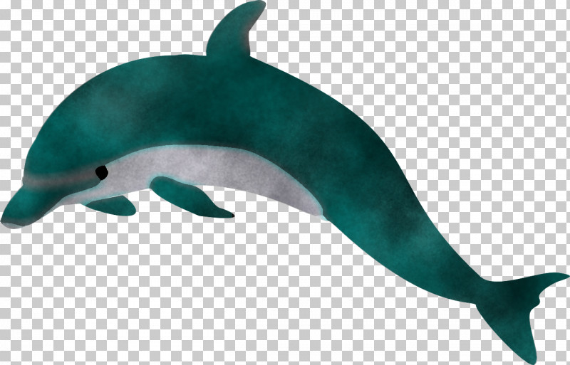 Dolphin Bottlenose Dolphin Cetacea Animal Figure Common Dolphins PNG, Clipart, Animal Figure, Bottlenose Dolphin, Bowhead, Cetacea, Common Dolphins Free PNG Download