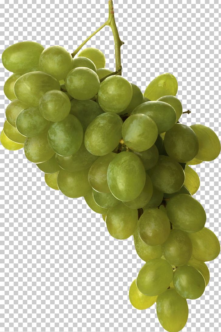 Grape PNG, Clipart, Grape Free PNG Download