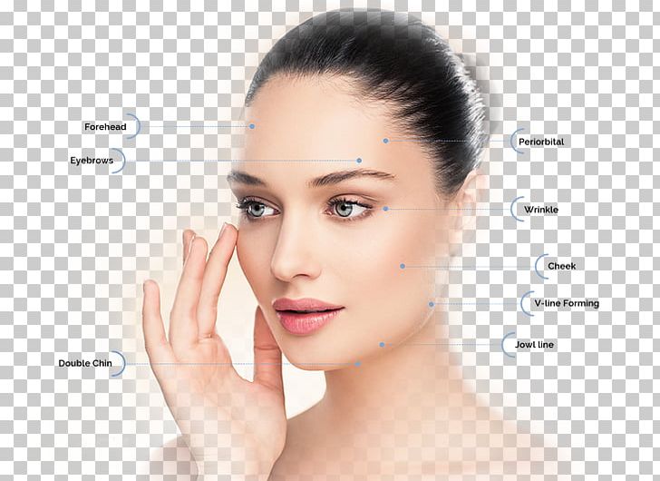 Skin Health Disease Cutaneous Condition Sebaceous Gland PNG, Clipart, Beauty, Cheek, Chin, Cutaneous Condition, Disease Free PNG Download