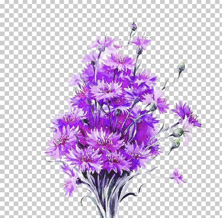 Watercolour Flowers Watercolor Painting Watercolor: Flowers Drawing PNG, Clipart, Artist, Aster, Cartoon, Cornflower, Cut Flowers Free PNG Download