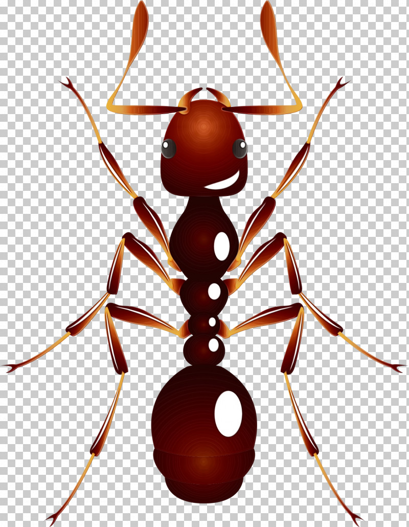 Insect Ant Pest Carpenter Ant Membrane-winged Insect PNG, Clipart, Ant, Carpenter Ant, Insect, Membranewinged Insect, Paint Free PNG Download