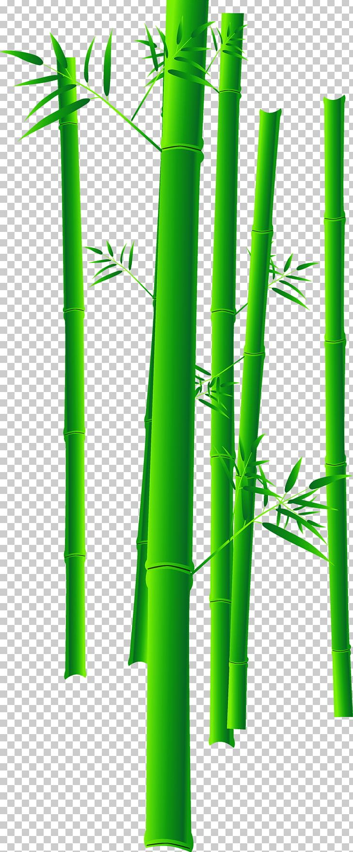 Bamboo Bamboe Euclidean PNG, Clipart, Angle, Background Green, Bamboe, Bamboo, Bamboo Leaves Free PNG Download