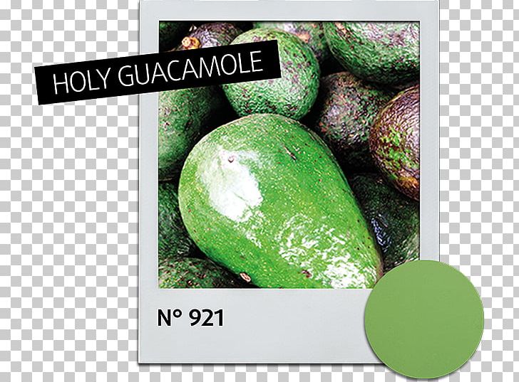 Guacamole Avocado Dipping Sauce Tortilla Chip PNG, Clipart, Avocado, Cucumber Gourd And Melon Family, Depositphotos, Dipping Sauce, Food Free PNG Download