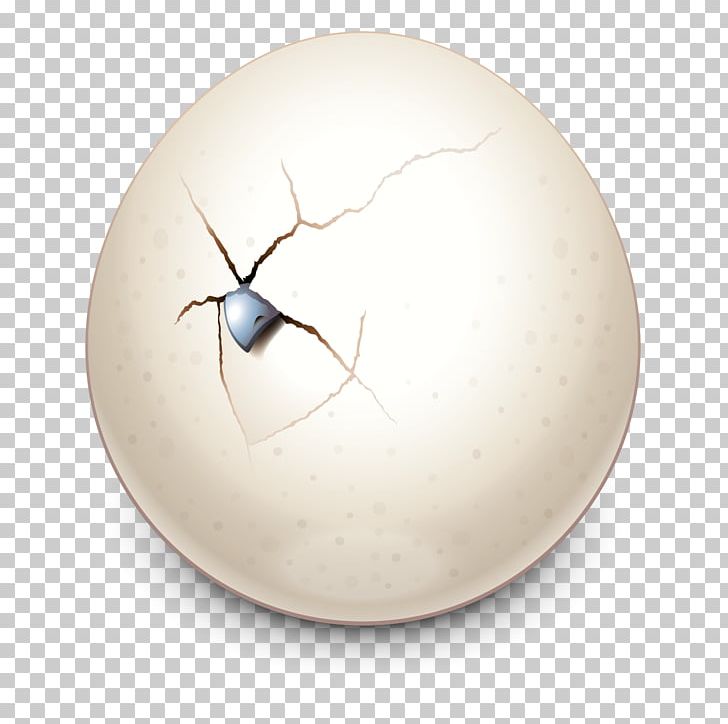Insect Product Design Sphere PNG, Clipart, Animals, Daily, Egg, Insect, Invertebrate Free PNG Download