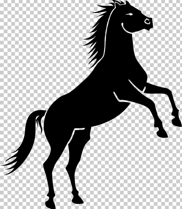 Mustang Rearing PNG, Clipart, Black, Black And White, Bridle, Collection, Fictional Character Free PNG Download