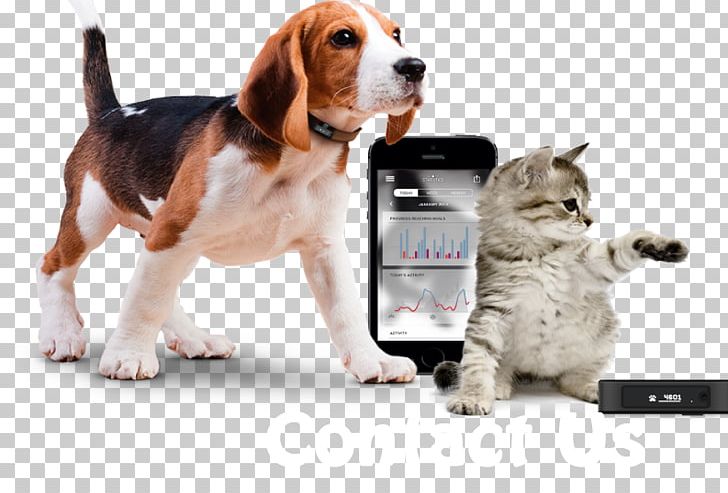 GPS Navigation Systems Dog GPS Tracking Unit Global Positioning System Cat PNG, Clipart, Activity Tracker, Animals, Carnivoran, Cat Like Mammal, Companion Dog Free PNG Download