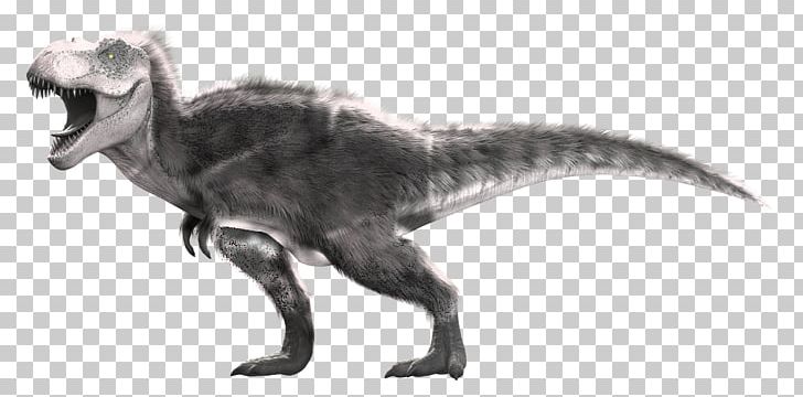 Tyrannosaurus Primal Carnage: Extinction Velociraptor Indominus Rex PNG, Clipart, Albinism, Animal, Animal Figure, Black And White, Dinosaur Free PNG Download