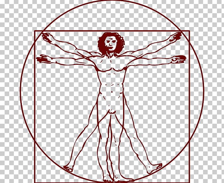 Vitruvian Man PNG, Clipart, Abdomen, Anatomy, Area, Arm, Art Free PNG Download