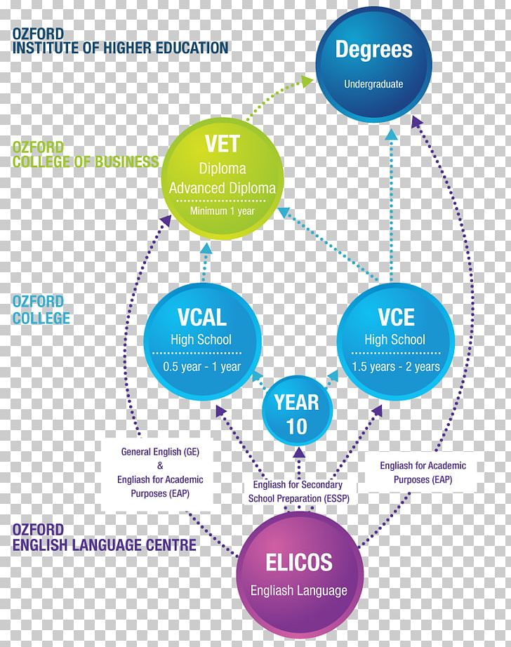 Bachelor Of Business Education Management Academic Degree Diploma PNG, Clipart,  Free PNG Download