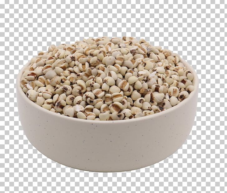 Barley Adlay Cereal Organic Food PNG, Clipart, Adobe Illustrator, Barley, Barley Flour, Barley Splash, Cereal Free PNG Download