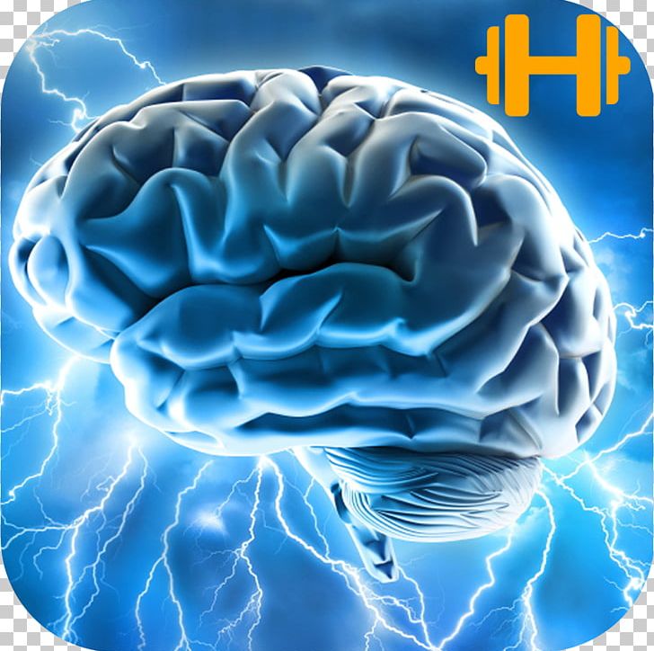 Brain Cognition Mind Thought Nootropic PNG, Clipart, Battement Binaural, Brain, Cognition, Cognitive Neuroscience, Cognitive Training Free PNG Download