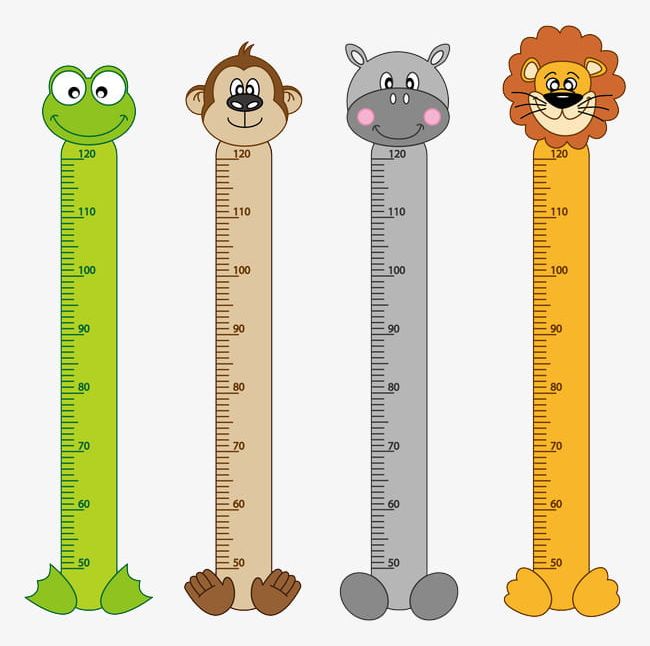 Child Height Measuring Cartoon PNG, Clipart, Animal, Caliper, Cartoon, Cartoon Clipart, Cartoon Pattern Free PNG Download