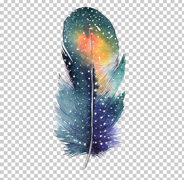 Feather Bird Drawing Color Painting PNG, Clipart, Animals, Bird, Color, Colour, Drawing Free PNG Download