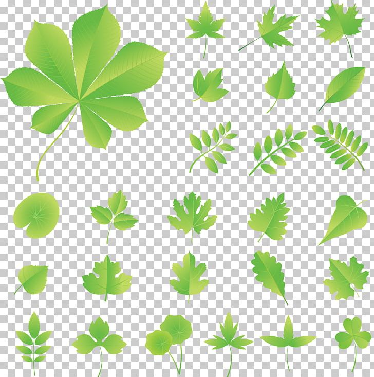 Leaf Branch Grass PNG, Clipart, Animation, Art, Branch, Cartoon, Encapsulated Postscript Free PNG Download
