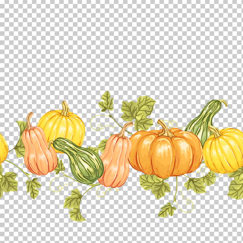 Pumpkin PNG, Clipart, Autumn, Borscht, Carrot, Crookneck Pumpkin, Fruit Free PNG Download