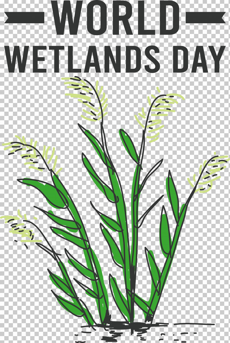 World Wetlands Day PNG, Clipart, World Wetlands Day Free PNG Download