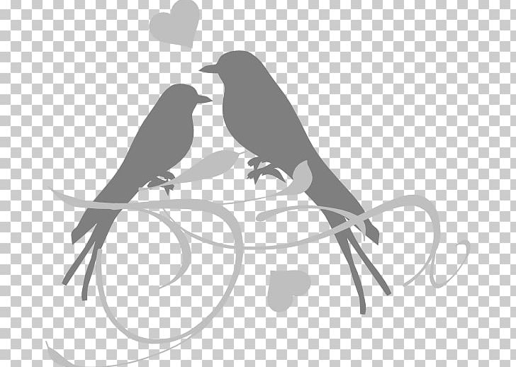 Lovebird Wedding Invitation PNG, Clipart, Animals, Artwork, Beak, Bird, Black And White Free PNG Download