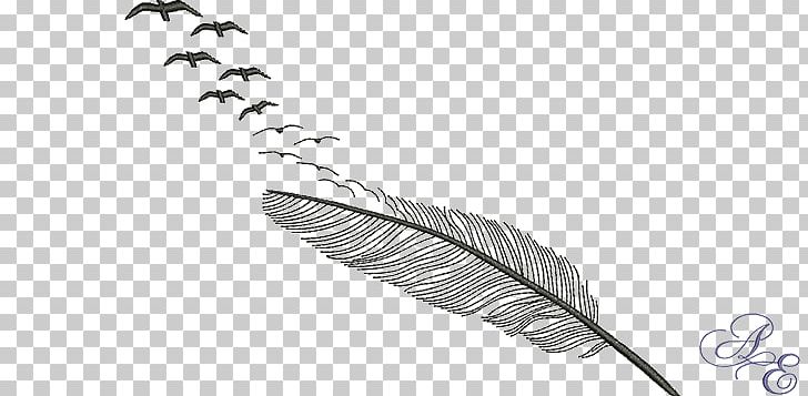 Feather Bird Goose Archaeopteryx Flight PNG, Clipart,  Free PNG Download