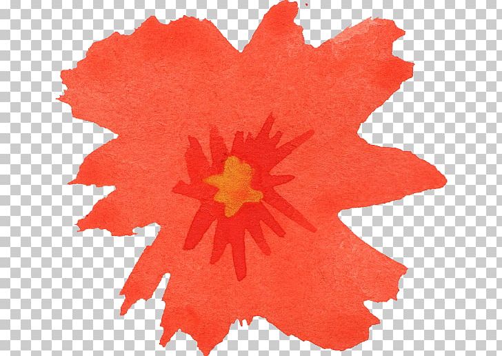 Flower Petal Hibiscus Malvales PNG, Clipart, Com, Display Resolution, Download, Flower, Flowering Plant Free PNG Download