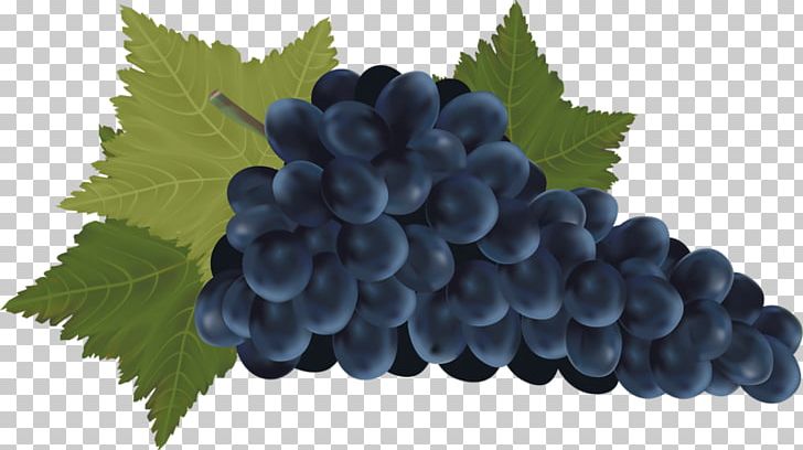 Red Wine Common Grape Vine Bottle PNG, Clipart, Bilberry, Blueberry, Bottle, Bunch, Bunch Of  Free PNG Download