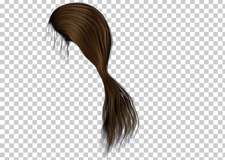 Brown Hair Ponytail Hairstyle PNG, Clipart, Afrotextured Hair, Art, Artificial Hair Integrations, Braid, Brown Hair Free PNG Download