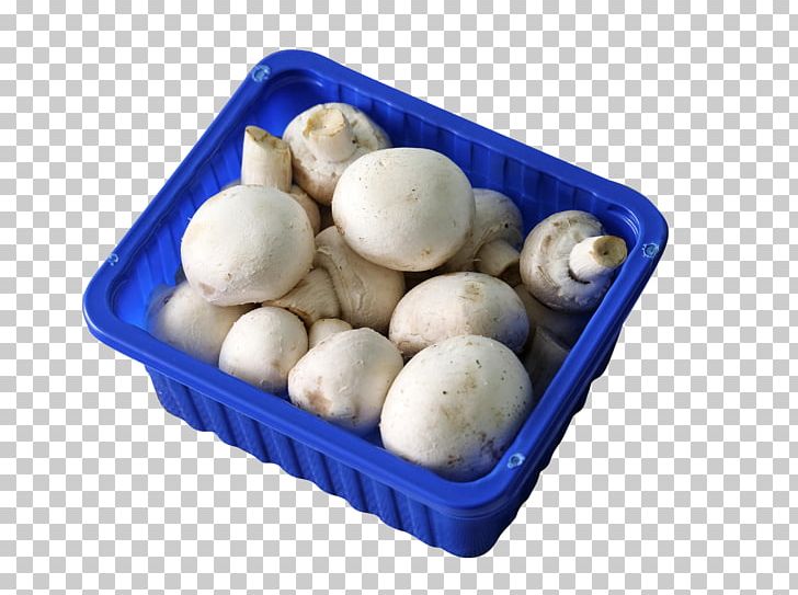 Common Mushroom Shiitake PNG, Clipart, Basket, Basket Of Apples, Baskets, Common Mushroom, Cuisine Free PNG Download