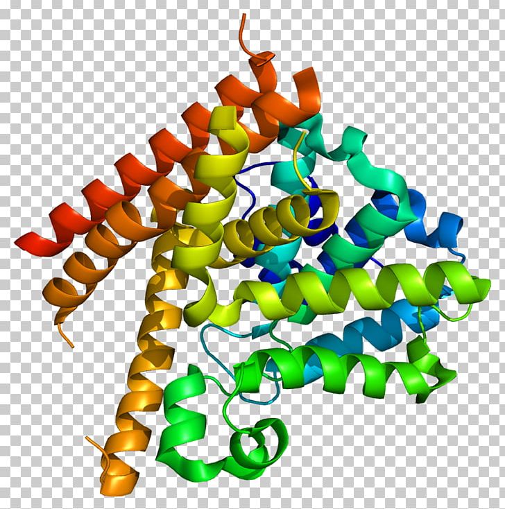 Phosphodiesterase Inhibitor Fosfodiesterasa 1 Cyclic Adenosine Monophosphate Enzyme PNG, Clipart, Animal Figure, Calmodulin, Catalysis, Cyclic Adenosine Monophosphate, Cyclic Guanosine Monophosphate Free PNG Download