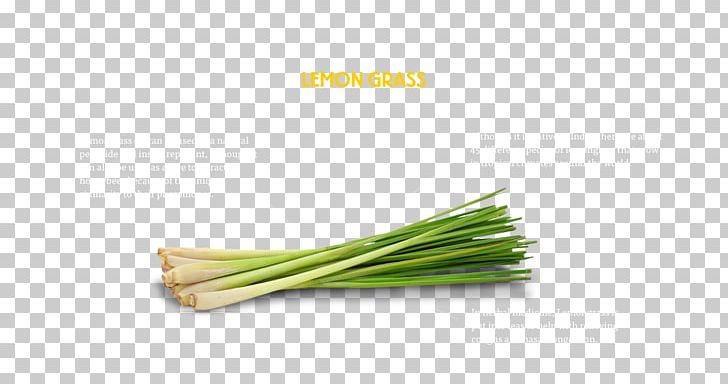 Allium Fistulosum Welsh Cuisine Leek PNG, Clipart, Allium, Allium Fistulosum, Grass, Grass Family, Ingredient Free PNG Download