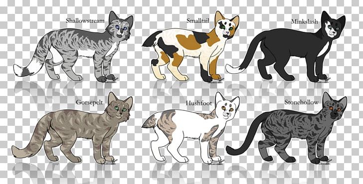 Cat Coat Genetics Kitten Warriors Fur PNG, Clipart, Animal Figure, Animals, Calico Cat, Carnivoran, Cat Free PNG Download
