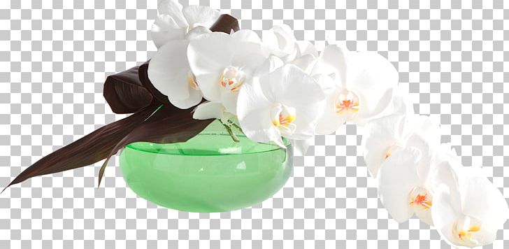 Moth Orchids Cut Flowers PNG, Clipart, Cut Flowers, Flower, Flowering Plant, Green, Ikebana Free PNG Download