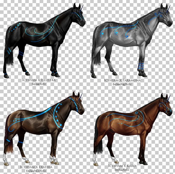 Mule Horse Coloring Book PNG, Clipart, Book, Bridle, Child, Color, Coloring Book Free PNG Download