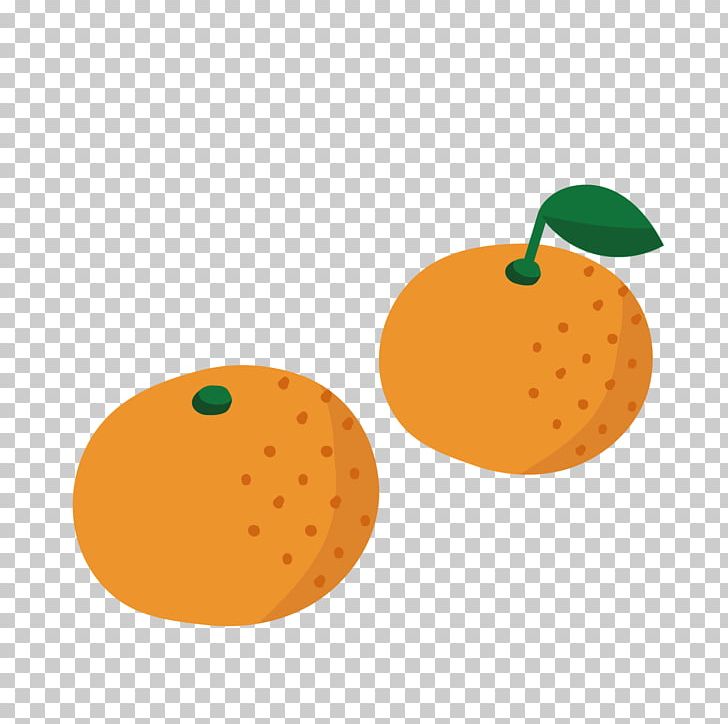 Satsuma Mandarin Fruit Winter PNG, Clipart, Architecture, Autumn, Cuisine, Food, Fruit Free PNG Download