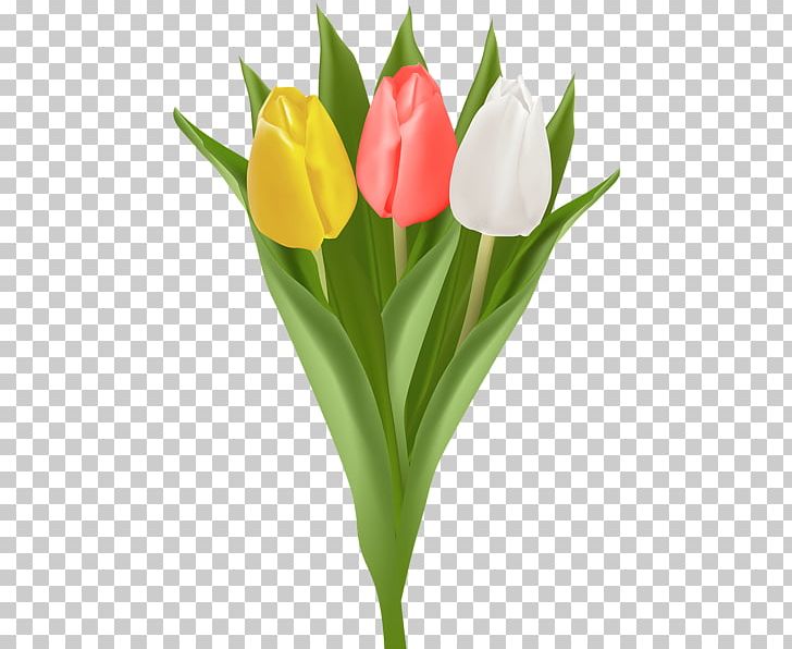 Tulip Flower Bouquet PNG, Clipart, Art, Art Museum, Bouquet, Clip, Com Free PNG Download