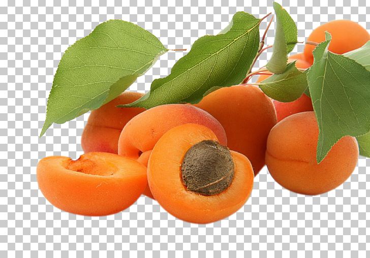 Apricot 4K Resolution High-definition Video Fruit PNG, Clipart, 4k Resolution, 8k Resolution, Apricot Flower, Apricot Kernel, Computer Free PNG Download