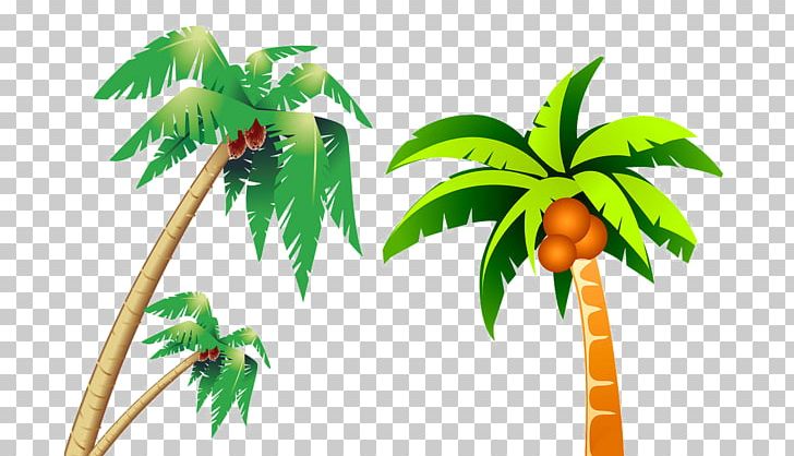 Coconut Tree PNG, Clipart, Balloon Cartoon, Cartoon Eyes, Christmas Tree, Coconut, Download Free PNG Download