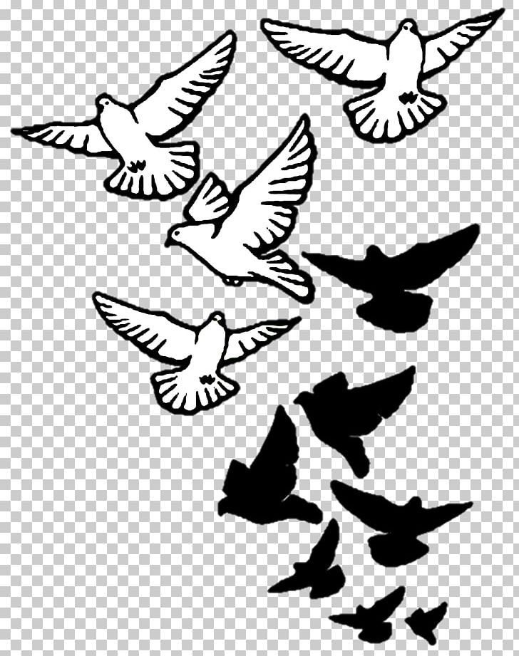 Columbidae Bird Tattoo Drawing Domestic Pigeon PNG, Clipart, Animals, Art, Artwork, Beak, Bird Flight Free PNG Download