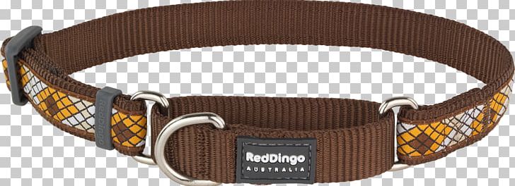 Dog Collar Dingo Martingale PNG, Clipart, Belt, Centimeter, Collar, Dingo, Dog Free PNG Download