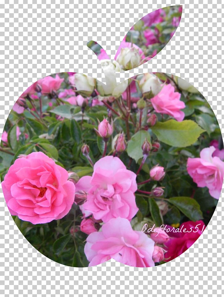 Floral Design Flower Garden Roses PNG, Clipart, Annual Plant, Art, Azalea, Begonia, Color Free PNG Download