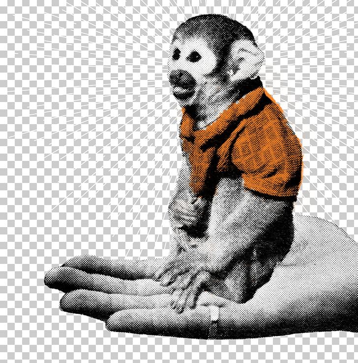 Homo Sapiens Human Behavior Monkey Finger PNG, Clipart, Aggression, Animals, Behavior, Capuchin Monkey, Finger Free PNG Download