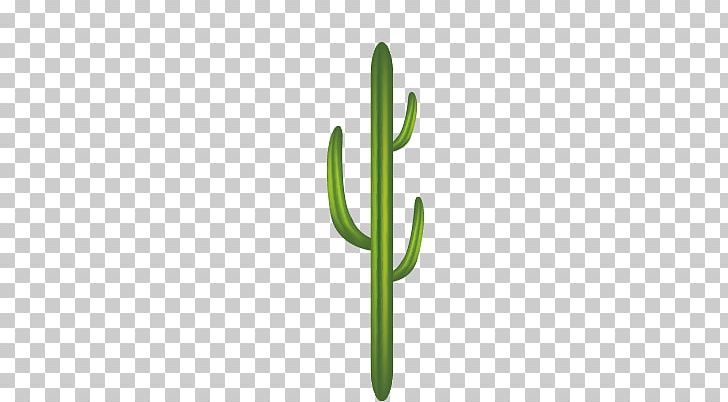Logo Pattern PNG, Clipart, Angle, Cactus, Cactus Cartoon, Cactus Flower, Cactus Vector Free PNG Download