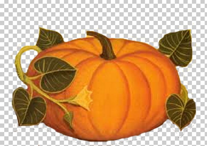 Pumpkin Calabaza Winter Squash Cucurbita Gourd PNG, Clipart, Baking, Big Fairy Share Scare, Blog, Calabaza, Carving Free PNG Download