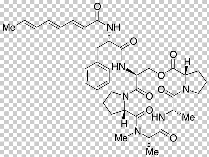 Toronto Research Chemicals Inc /m/02csf Drawing PNG, Clipart, Anaerobic Organism, Angle, Area, Black And White, Cannabis Drug Testing Free PNG Download