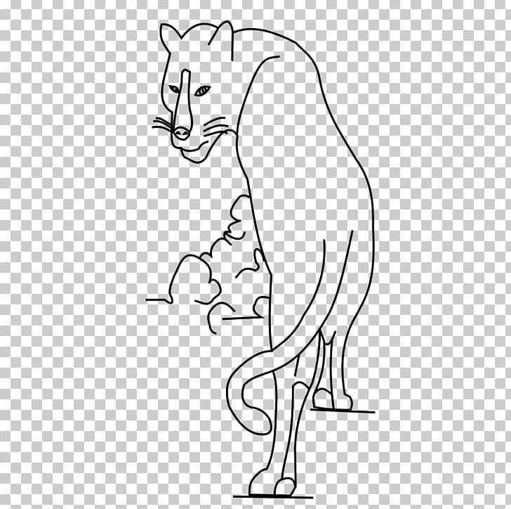 Whiskers Drawing Cat PNG, Clipart, Angle, Area, Arm, Art, Big Cats Free PNG Download