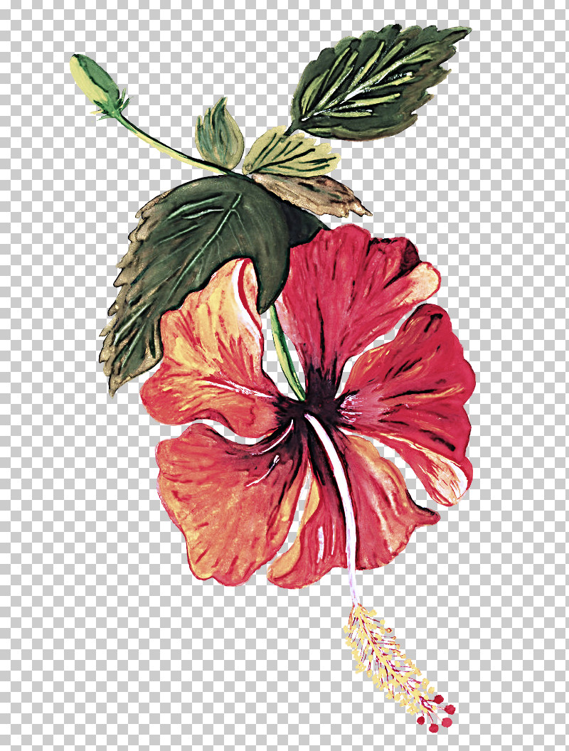 Premium Vector | Hibiscus flower coloring page of book doodle line art flower  sketch with vector graphic