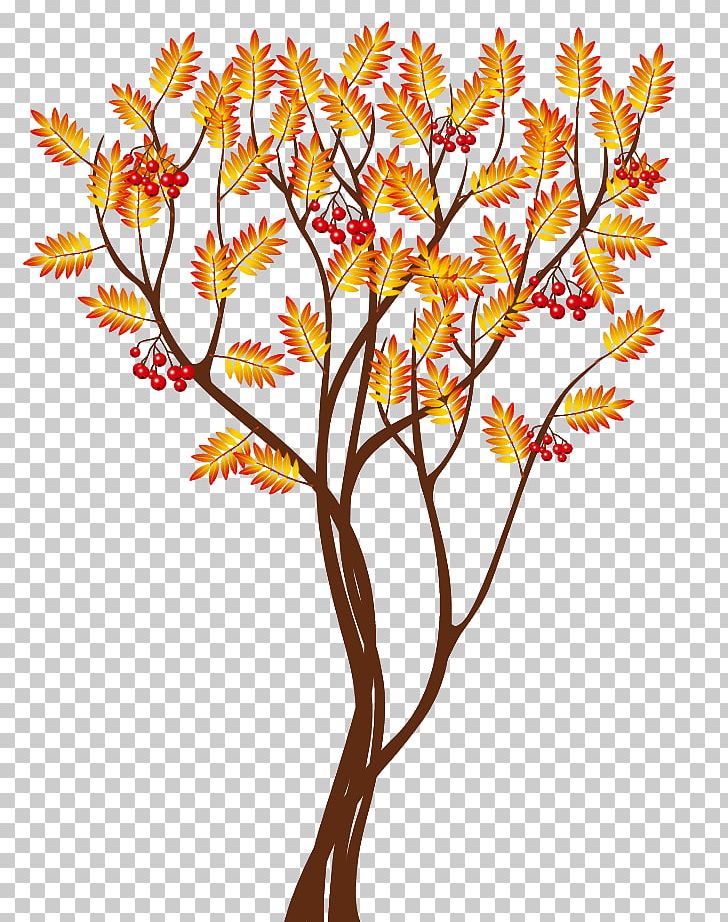 Autumn Tree PNG, Clipart, Autumn, Branch, Clipart, Clip Art, Cut Flowers Free PNG Download