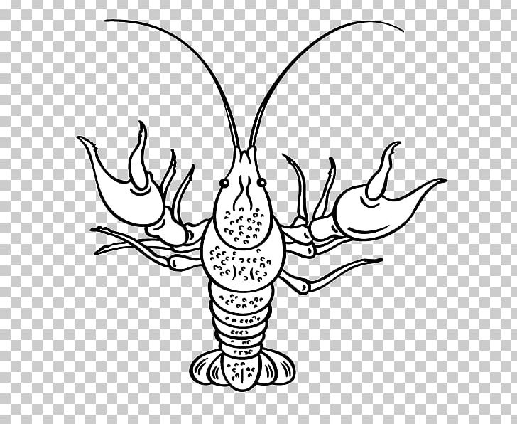Lobster PNG, Clipart, Animals, Encapsulated Postscript, Flower, Hand, Hand Drawn Free PNG Download