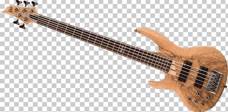 Bass Guitar ESP LTD EC-1000 Acoustic-electric Guitar PNG, Clipart, Acoustic Electric Guitar, Acoustic Guitar, Bridge, Guitar, Guitar Accessory Free PNG Download